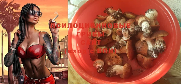 прущий лед Семилуки