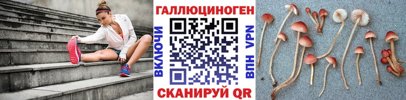 Псилоцибиновые грибы Magic Shrooms  как найти   Агрыз 